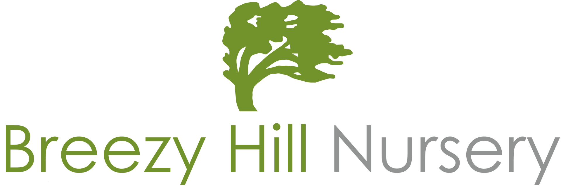 Breezy Hill Nursery | Landscaping, Nursery, and Garden Center